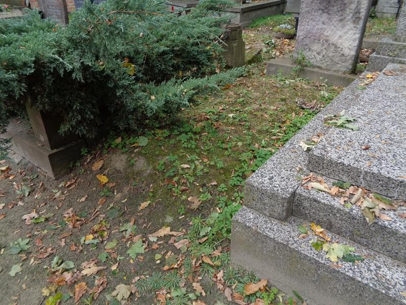 Zdjęcie grobu: Pole Grobowe
