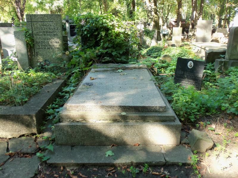 Zdjęcie grobu: Kazimierz Darnikiewicz