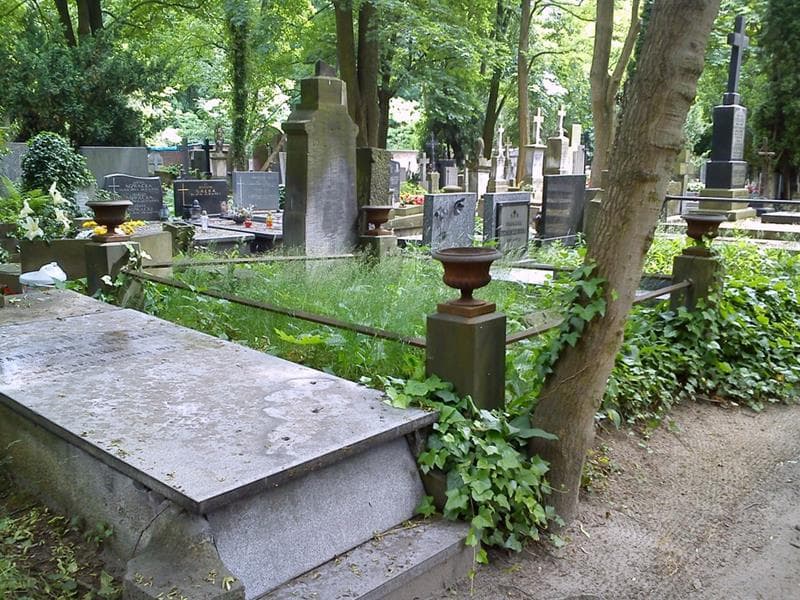 Zdjęcie grobu: Ludwika Dymalska
