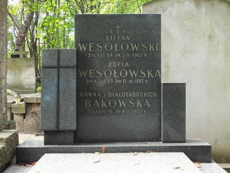 Zdjęcie grobu Hanna Bąkowska (2)