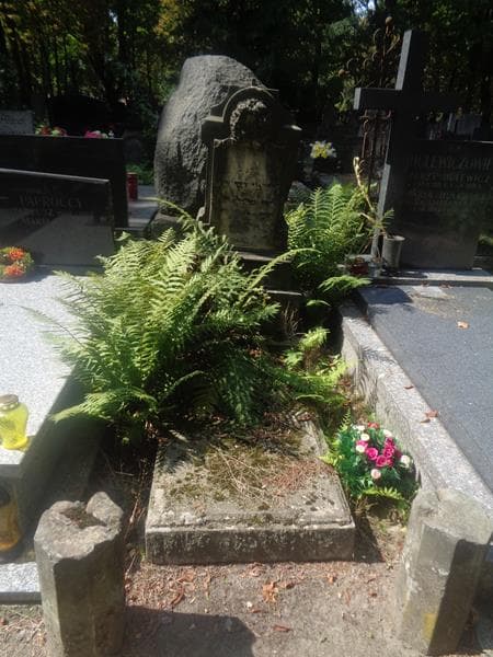 Zdjęcie grobu Marya Wójcicka (1)