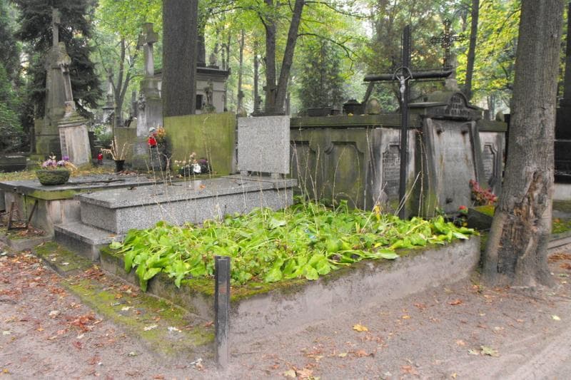 Zdjęcie grobu Anonim (1)
