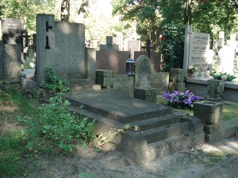 Zdjęcie grobu Aniela Dąbrowska (1)