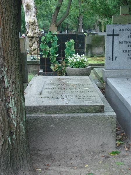 Zdjęcie grobu: Zygmuś Piorun