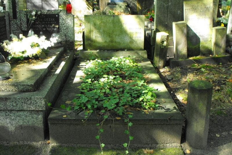 Zdjęcie grobu: Eugenia Barcz