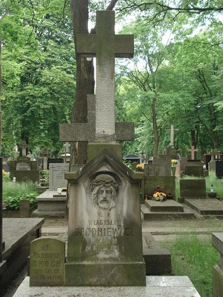 Zdjęcie grobu Władysław Brodniewicz (2)
