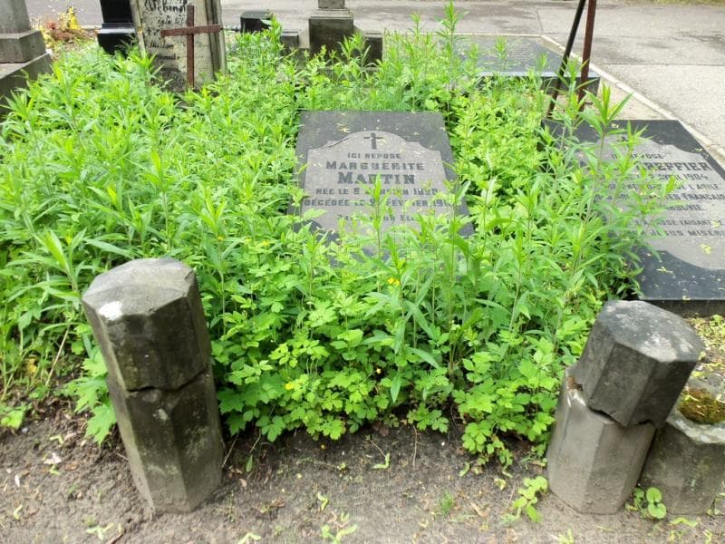 Zdjęcie grobu: Marguerite Martin