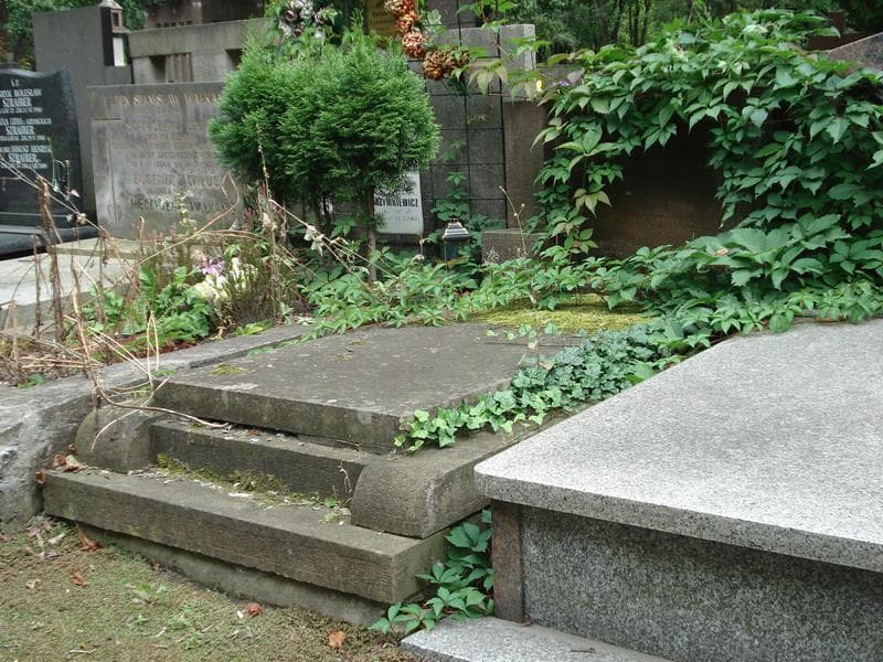 Zdjęcie grobu Maksymilian Rostkowski (1)