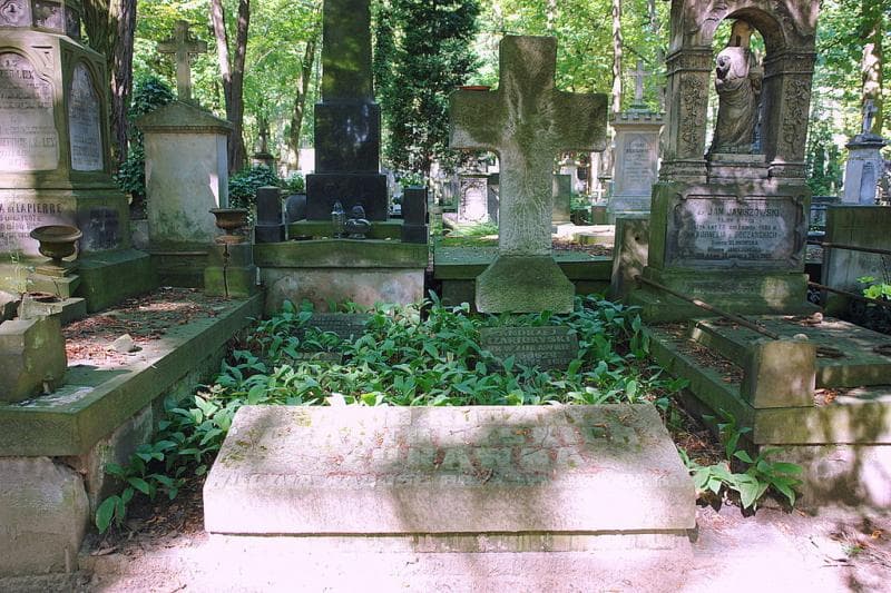 Zdjęcie grobu Antoni Czartoryski (1)