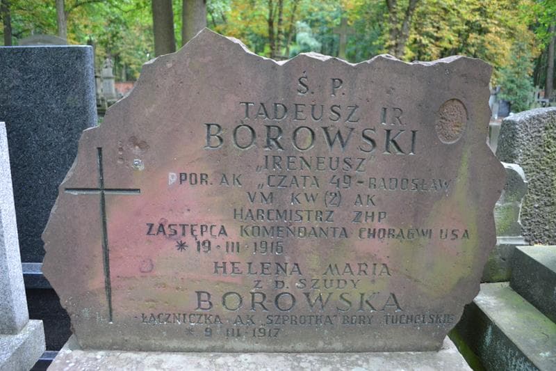 Zdjęcie grobu Borowscy (2)