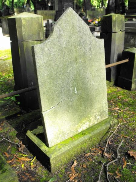 Zdjęcie grobu Domini Ruszczyńscy (2)