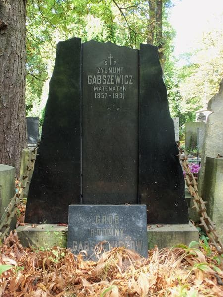 Zdjęcie grobu Zygmunt Gabszewicz (2)