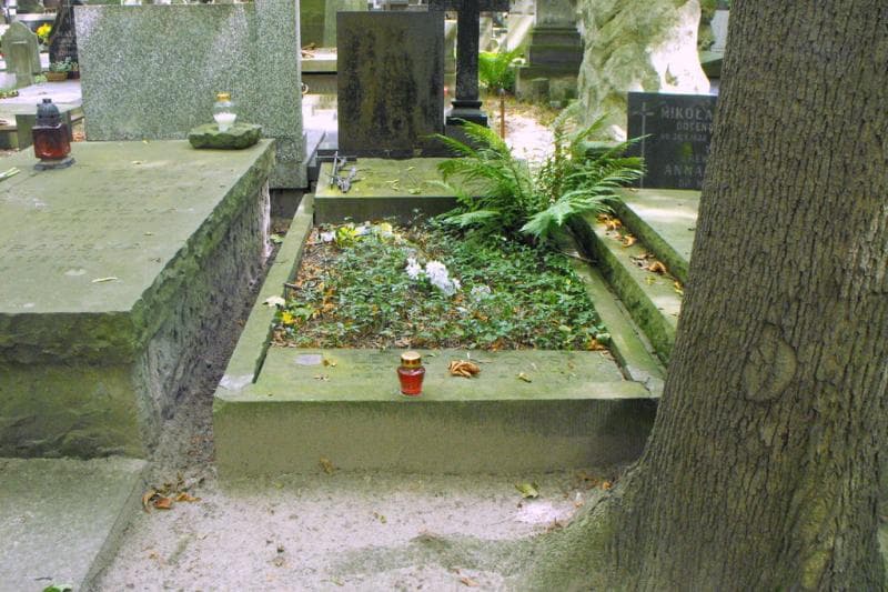 Zdjęcie grobu: Franciszek Wyrzyk