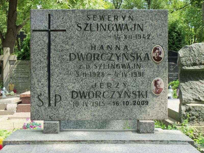 Zdjęcie grobu Seweryn Szlingwajn (2)