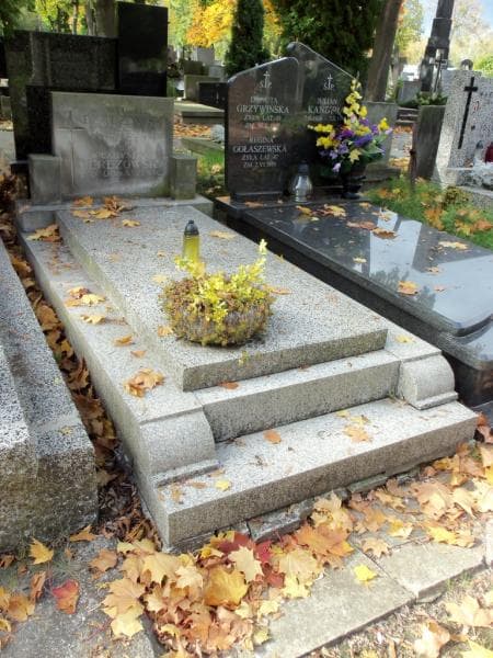 Zdjęcie grobu Witold Berezowski (1)
