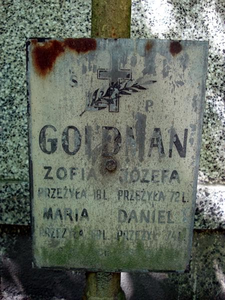 Zdjęcie grobu Daniel Goldman (2)