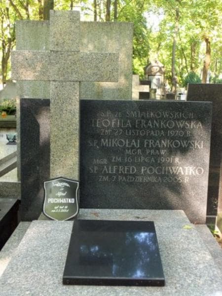 Zdjęcie grobu Teofila Frankowska (2)