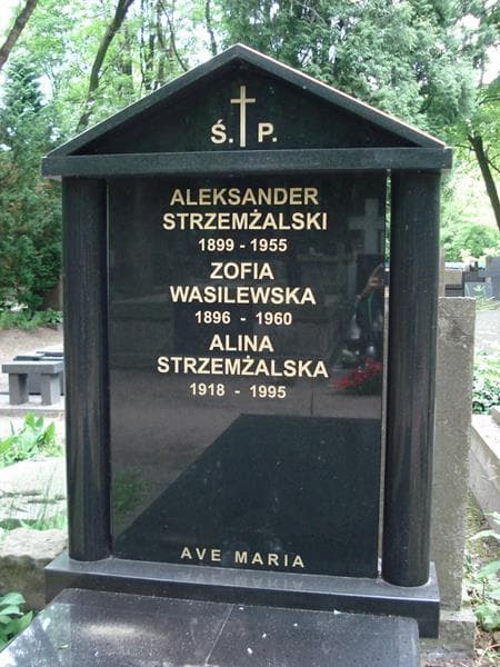 Zdjęcie grobu Zofia Wasilewska (2)