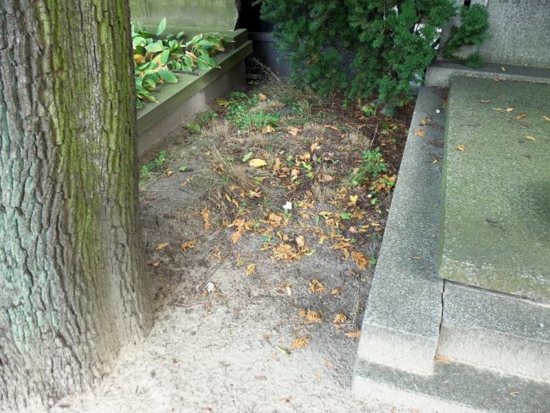 Zdjęcie grobu: Pole Grobowe
