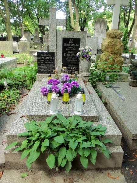 Zdjęcie grobu Edward Strzesiński (1)