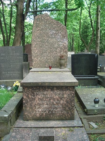 Zdjęcie grobu: Paulina Irma Dambska