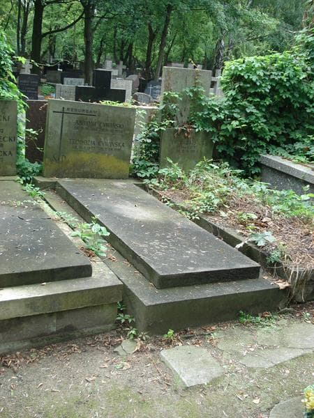 Zdjęcie grobu Antoni Cywiński (1)