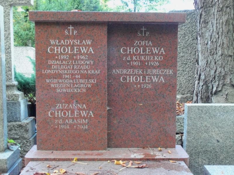 Zdjęcie grobu Andrzejek Cholewa (2)