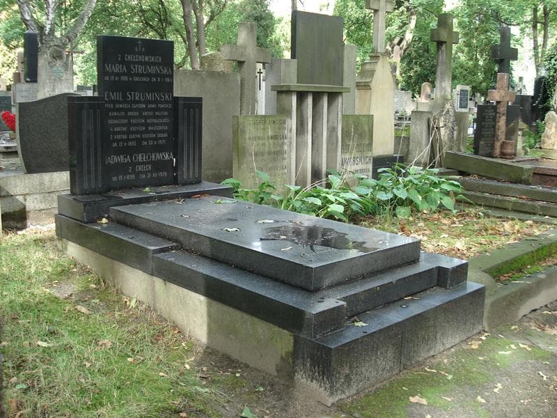 Zdjęcie grobu: Emil Strumiński