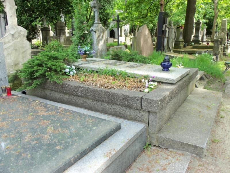 Zdjęcie grobu Danuta Dzierżanowska (1)