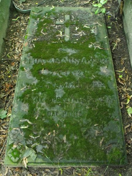 Zdjęcie grobu Leon Janiszowski (1)