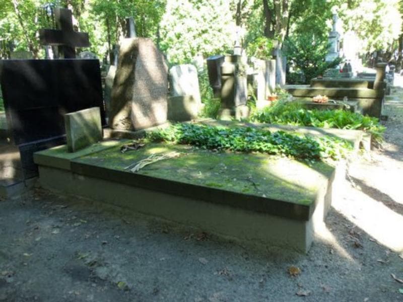 Zdjęcie grobu Wacław Cyprian Brzeziński (1)