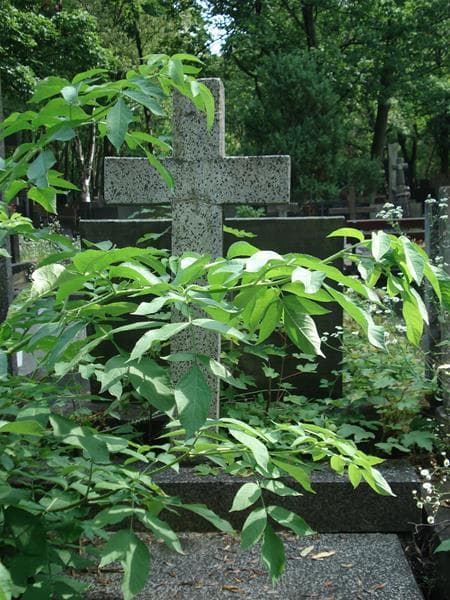 Zdjęcie grobu Maria Sawilska (2)