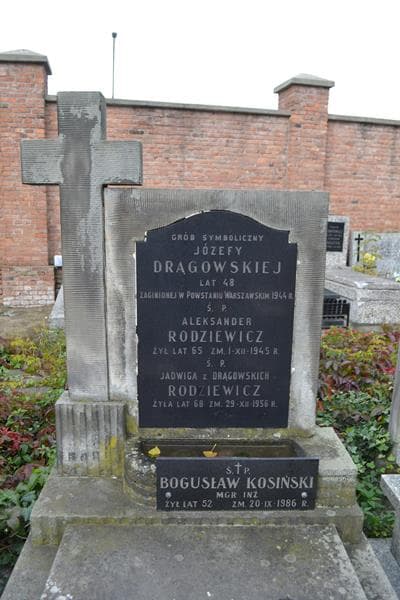 Zdjęcie grobu Józefa Drągowska (2)