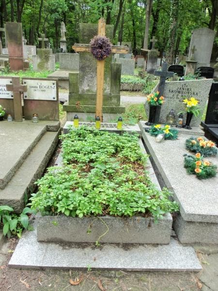 Zdjęcie grobu Brunon Jerzy Vetter (1)