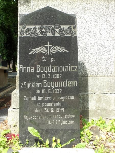 Zdjęcie grobu Bogumił Bogdanowicz (2)
