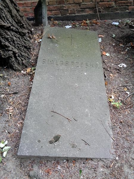 Zdjęcie grobu Zofia Białobrzeska (1)