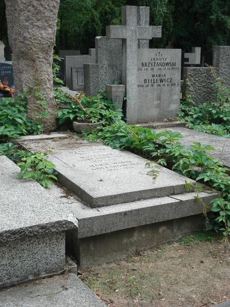 Zdjęcie grobu Mieczysław Gołębiowski (2)