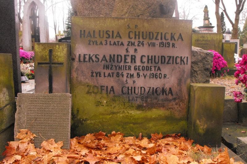 Zdjęcie grobu Aleksander Chudzicki (2)