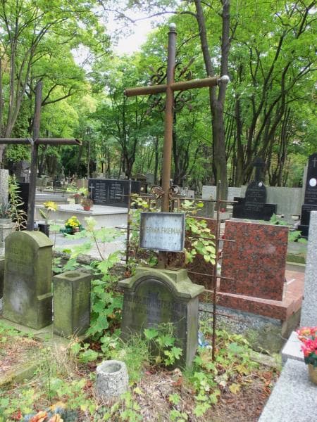 Zdjęcie grobu Stefania Frieman (2)