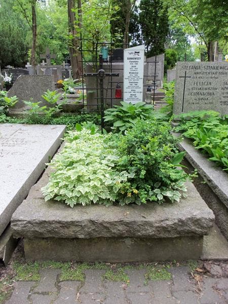 Zdjęcie grobu: Henryk Dankowski