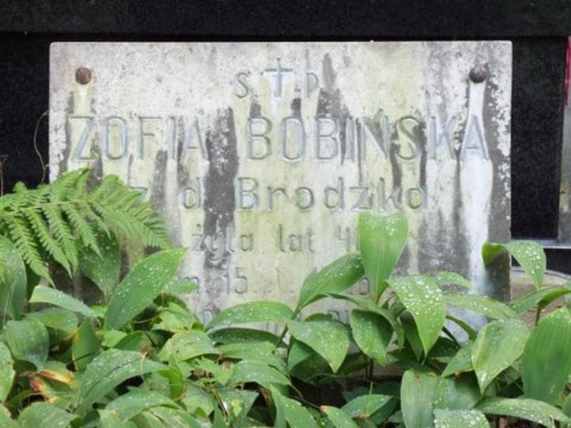 Zdjęcie grobu Zofia Bobińska (2)