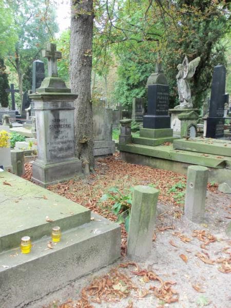 Zdjęcie grobu Ksawery Czekierski (1)