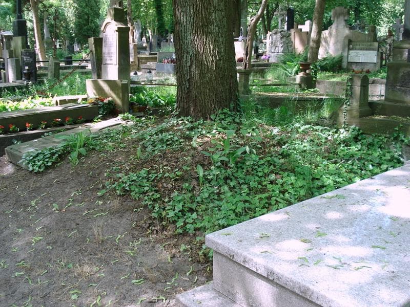 Zdjęcie grobu: Pole Grobowe