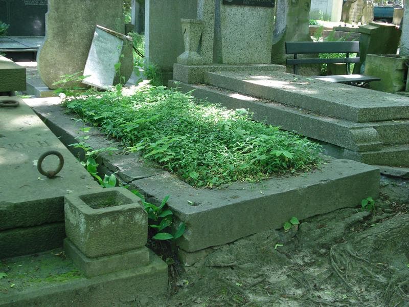 Zdjęcie grobu Franciszek Nowosielski (1)