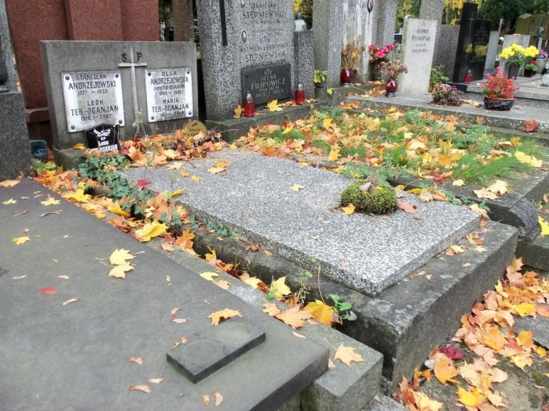 Zdjęcie grobu Olga Andrzejowska (1)