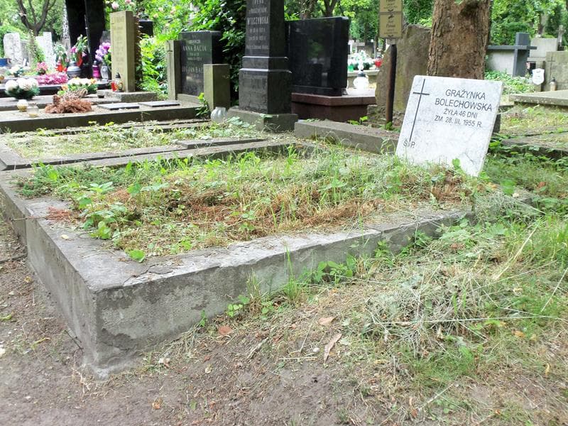 Zdjęcie grobu Grażynka Bolechowska (1)