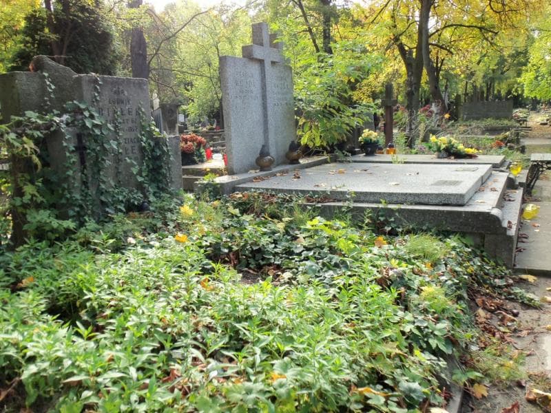 Zdjęcie grobu Ludwik Białek (1)