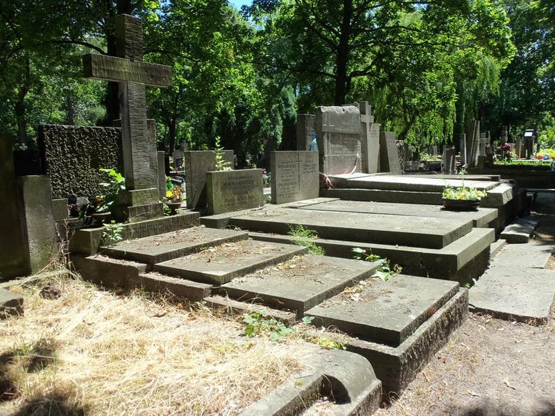 Zdjęcie grobu Franciszek Honckiewicz (1)