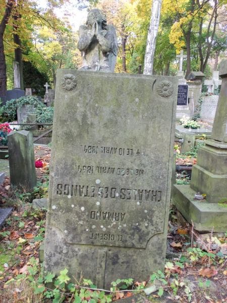 Zdjęcie grobu Armand Chaales Des Etangs (2)