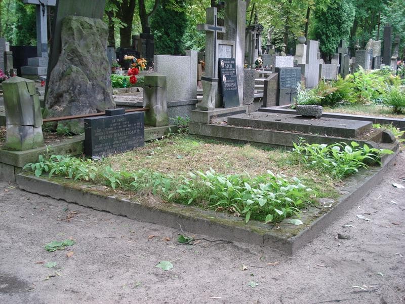 Zdjęcie grobu: Leszek Dołęga Rykaczewski